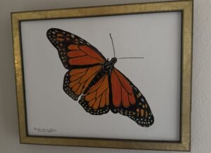 Butterfly