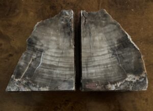 Petrified Timber Bookends